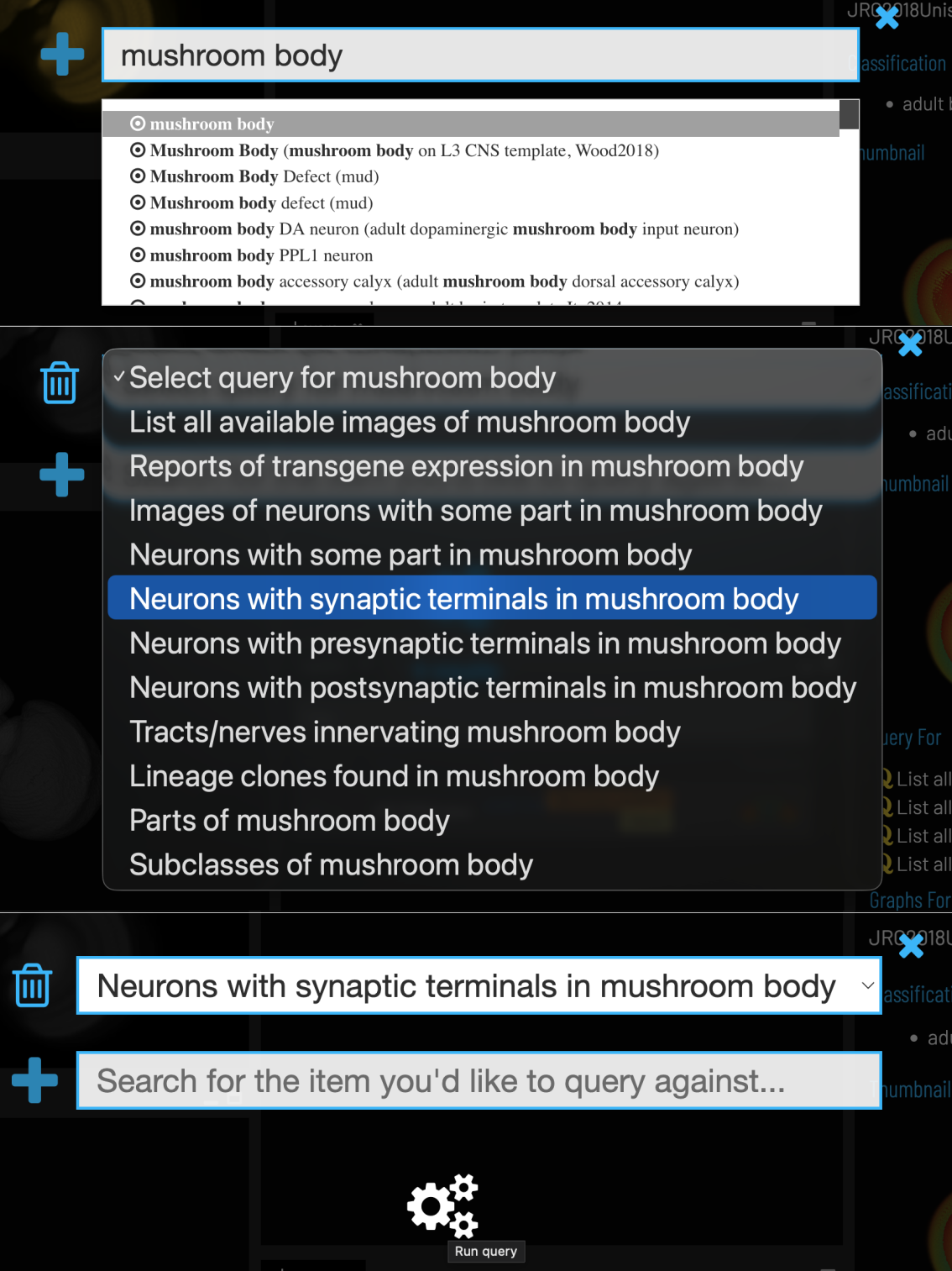 The VFB query tool.